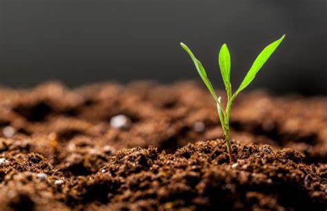 关于《长治市威远门北路东、北二环路南地块（地块编号：B-14-01）土壤污染状况调查报告》的公示