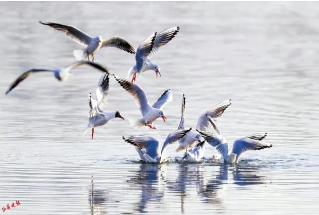 天蓝水清，长治为什么这么美？