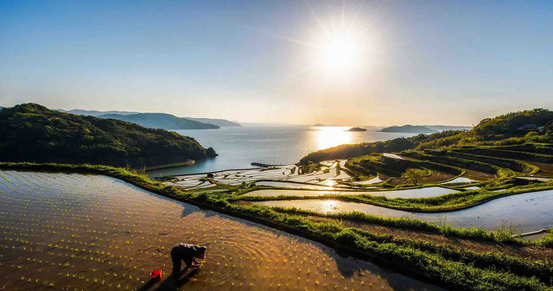 生态环境部张大伟：VOCs治理已成为大气领域明显短板，主要治理措施有哪些？